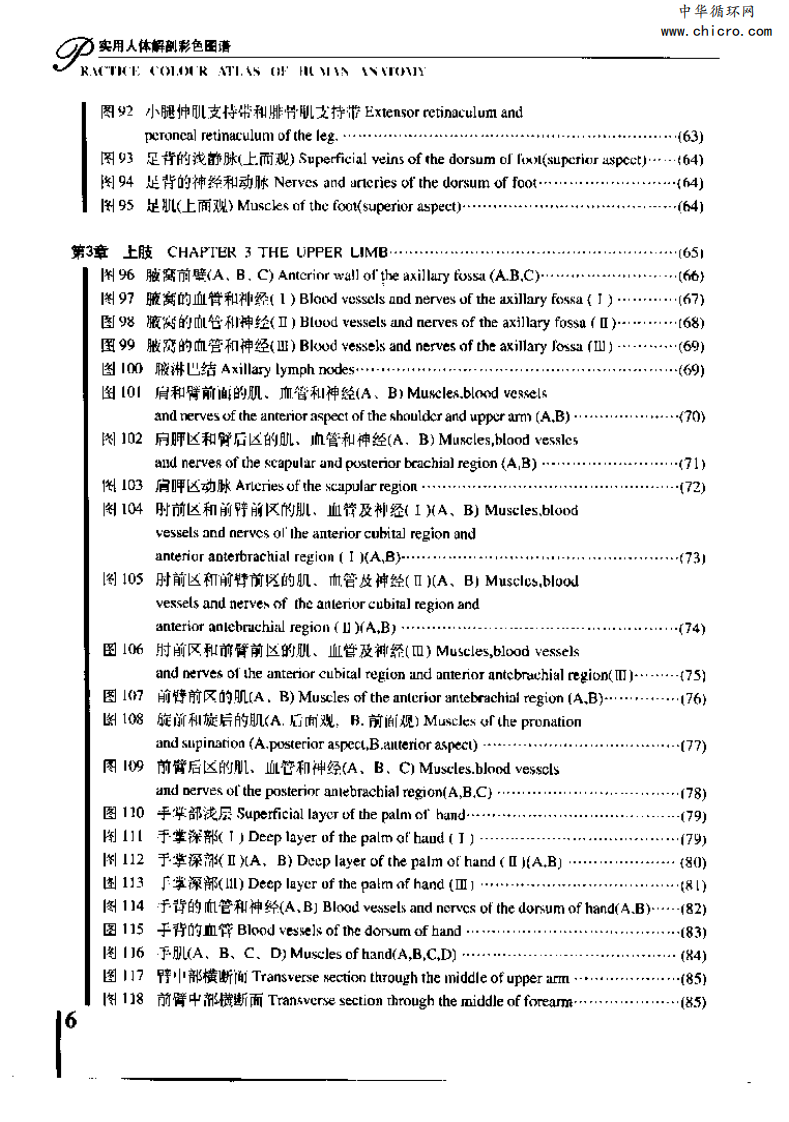 实用人体解剖彩色图谱.pdf 第4页