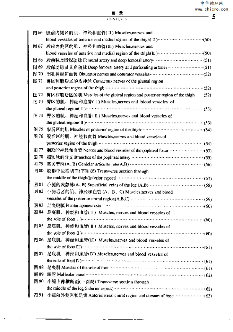 实用人体解剖彩色图谱.pdf 第3页