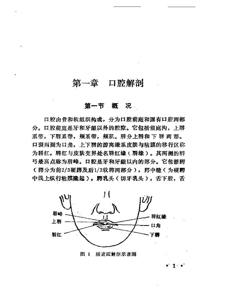 口针疗法.pdf 第3页