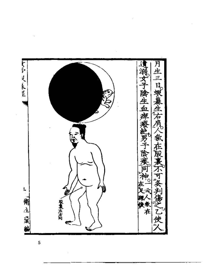 黄帝虾蟆经1984.01.pdf 第5页