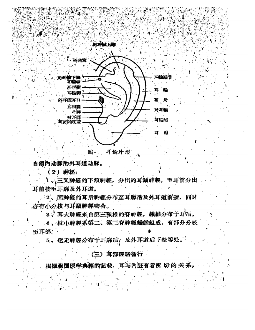 耳针疗法.pdf 第5页