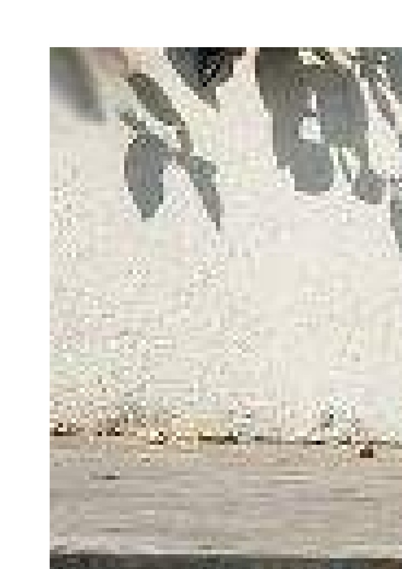 养生：20岁后男女饮食“各有千秋”.doc 第2页