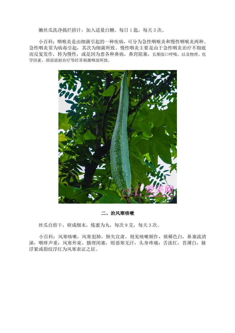 养生须知：丝瓜的8种食疗功效 通经解毒营养高 .doc 第2页