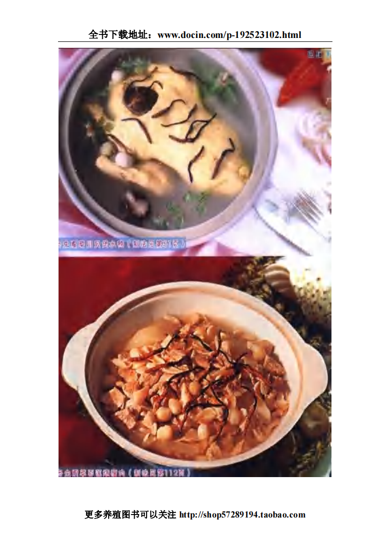 冬虫夏草药膳滋补大全 经典珍藏版.pdf 第4页