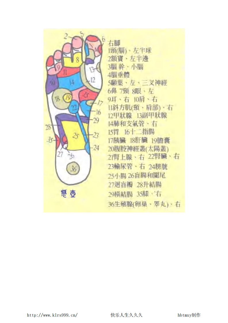 足部按摩·12页.pdf 第5页