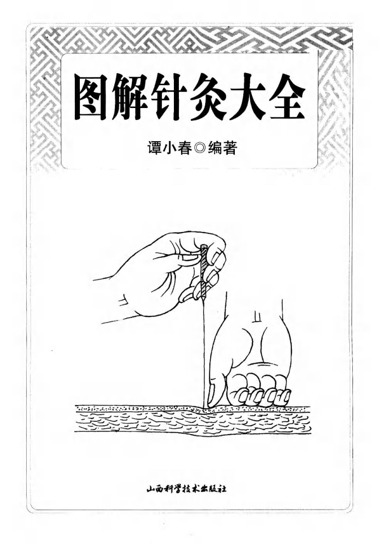 [图解针灸大全.上有各种手法.下游诸科治疗].高音.扫描版.pdf 第4页
