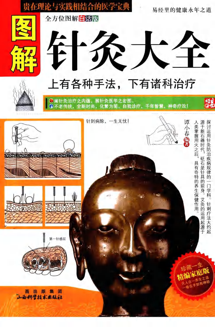 [图解针灸大全.上有各种手法.下游诸科治疗].高音.扫描版.pdf 第1页