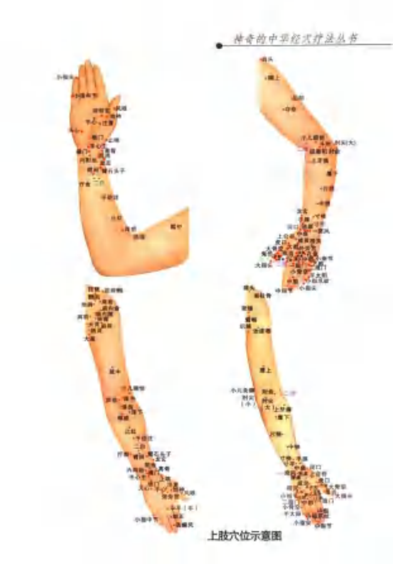 [奇穴疗法].邓媛.赵永祥.李彦知.杨建宇.扫描版.pdf 第5页