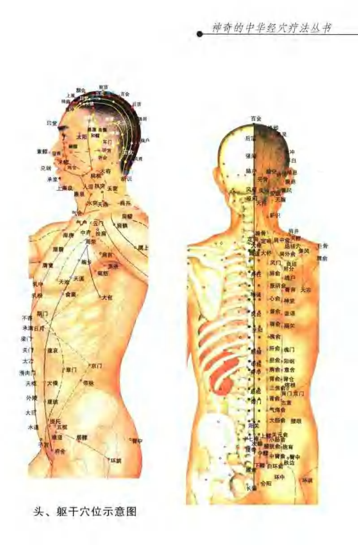 [经穴敷贴疗法].傅强.黄涛.乔德荣.赵建成.扫描版.pdf 第5页