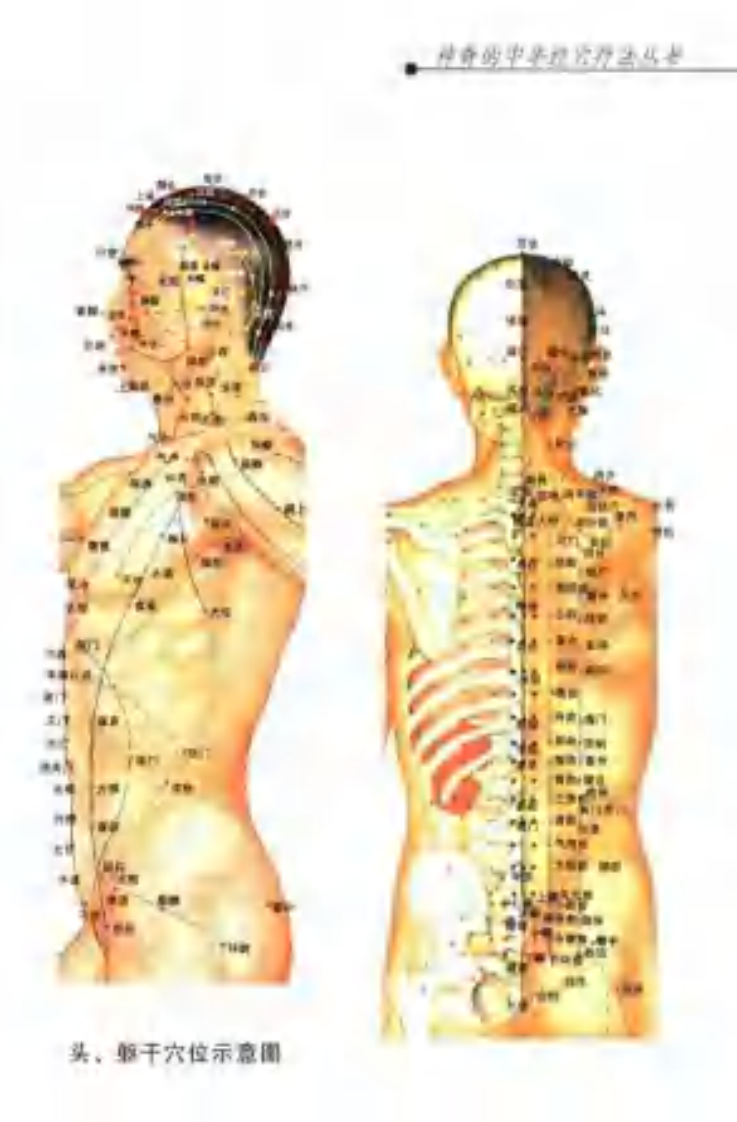 [经穴磁疗].李彦知.郑翔凌.孙永章.杨建宇.扫描版.pdf 第5页