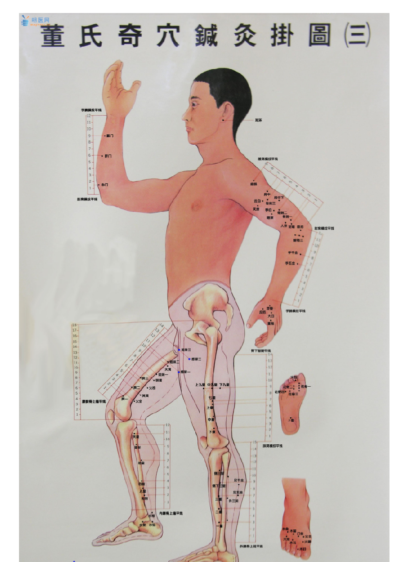 董氏奇穴.doc 第5页