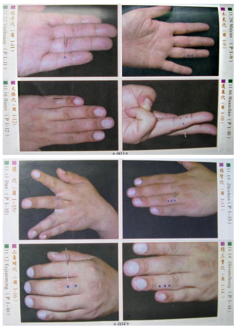 董氏奇穴真人穴位图.pdf 第2页