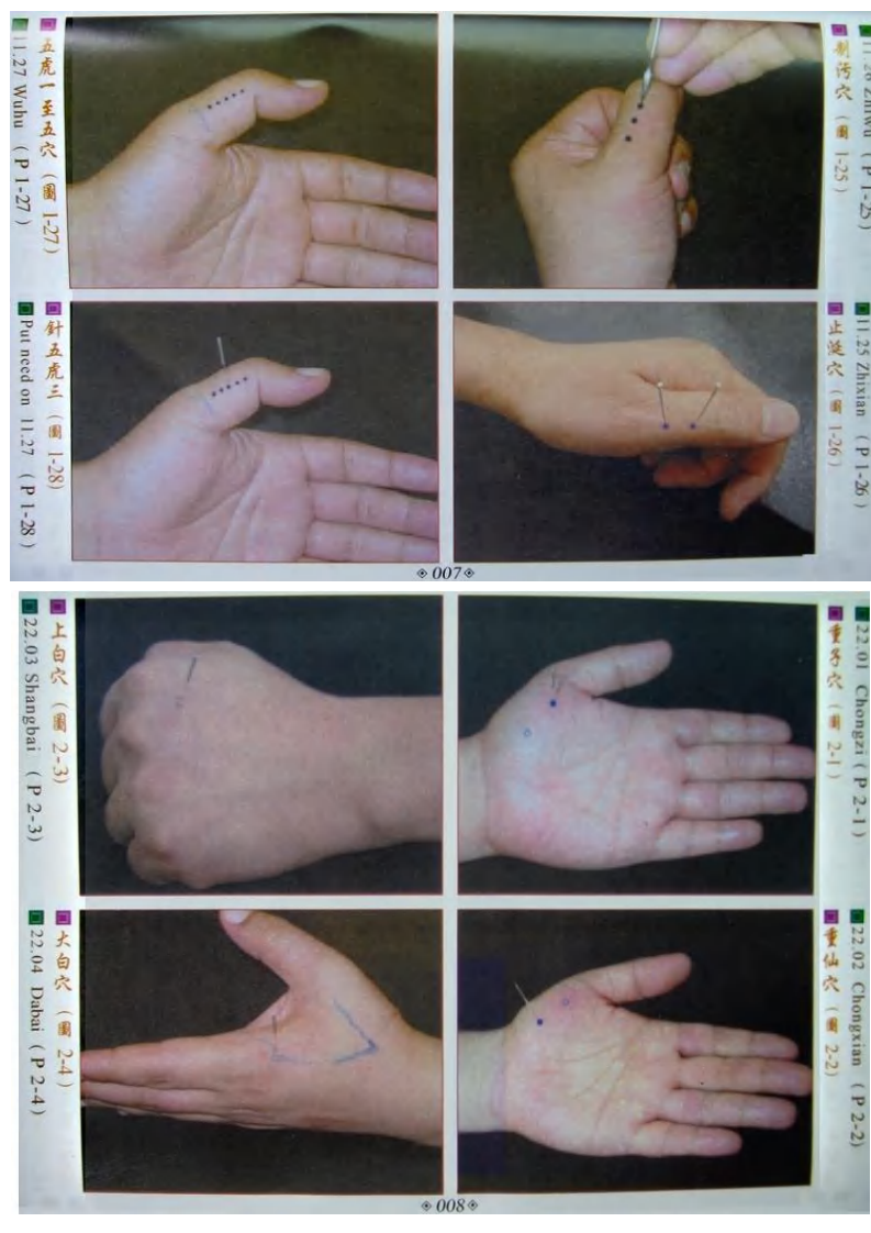 董氏奇穴真人穴位图.pdf 第4页