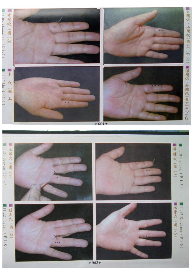 董氏奇穴真人穴位图.pdf 第1页