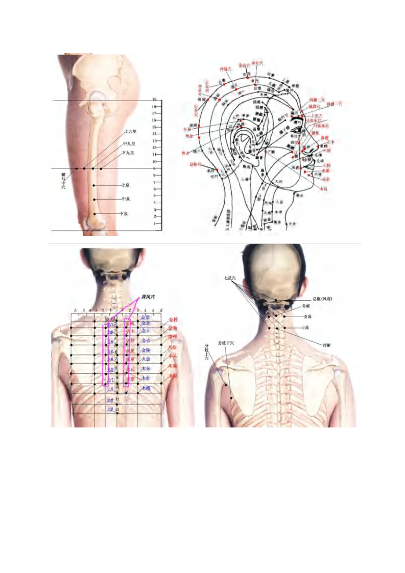董氏针灸彩色穴位图高.pdf 第5页