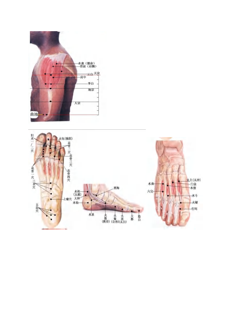 董氏针灸彩色穴位图高.pdf 第3页
