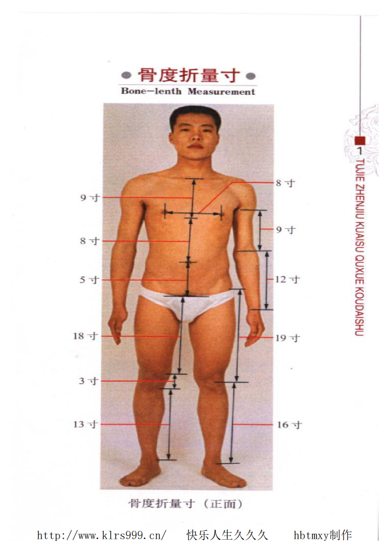 图解针灸快速取穴口袋书·李瑞.pdf 第4页