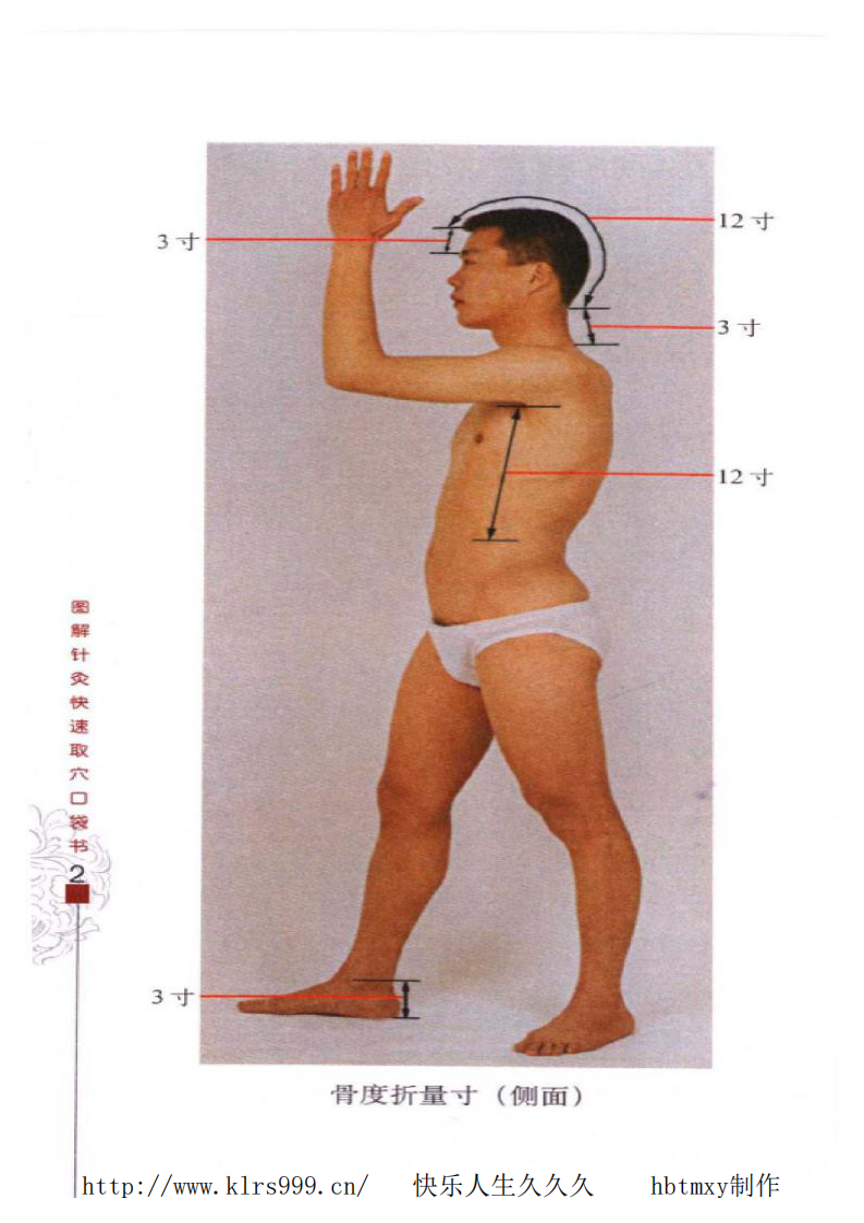 图解针灸快速取穴口袋书·李瑞.pdf 第5页