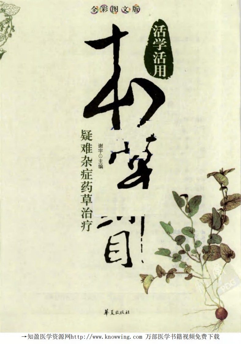 疑难杂症药草治疗.pdf 第3页