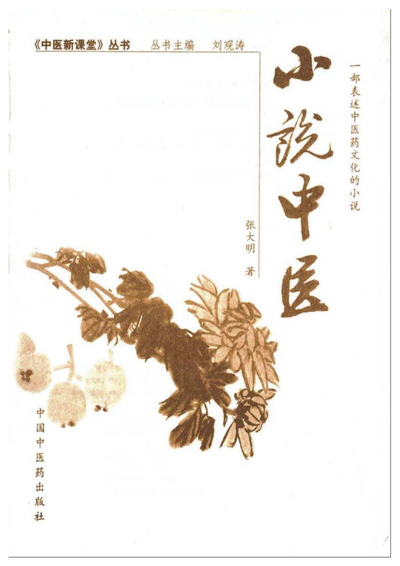 小说中医.pdf 第1页