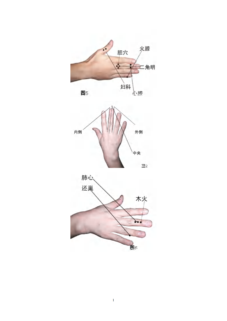 中国景昌特效针灸临床精要彩图.pdf 第2页