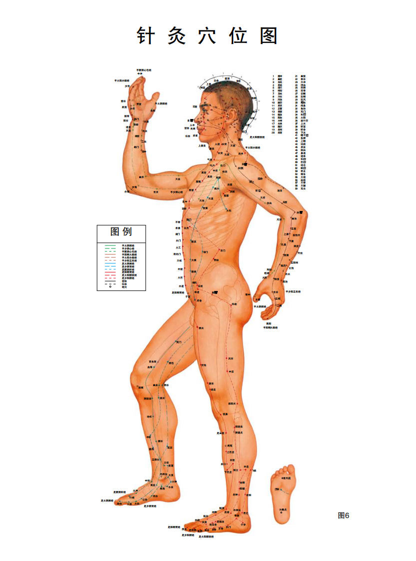 针灸穴位挂图.pdf 第2页