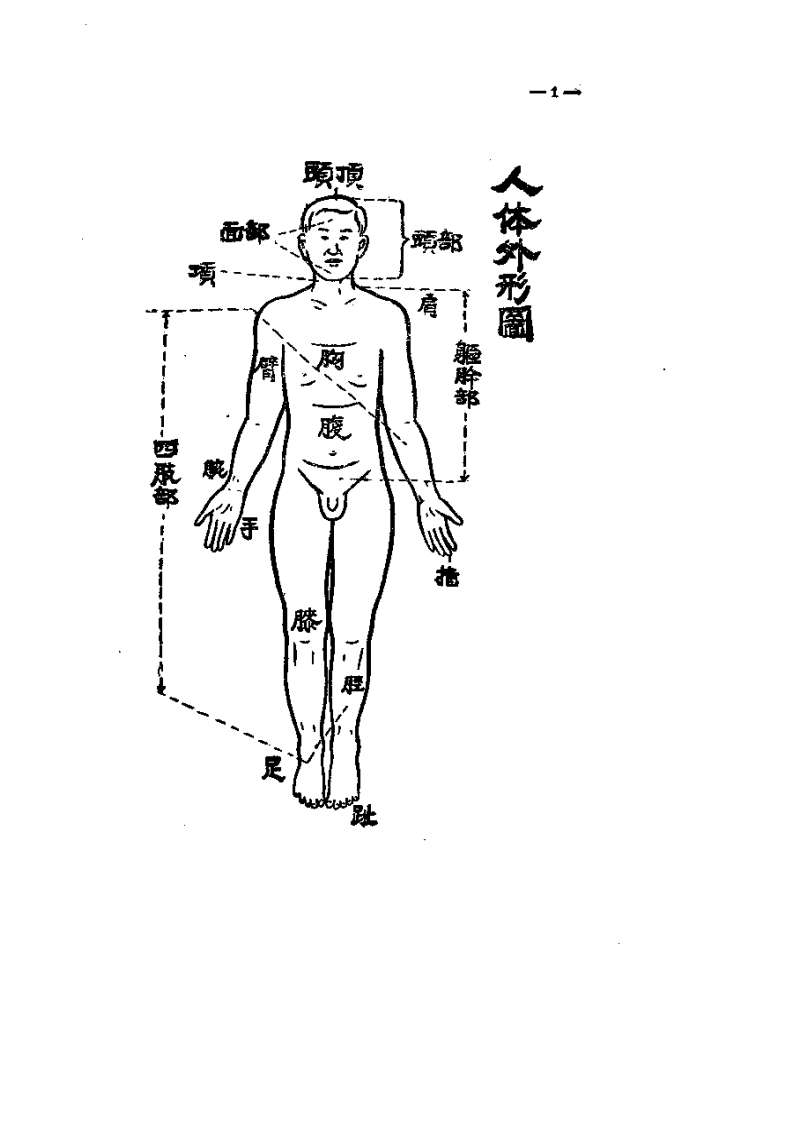简易针灸治疗法.pdf 第2页
