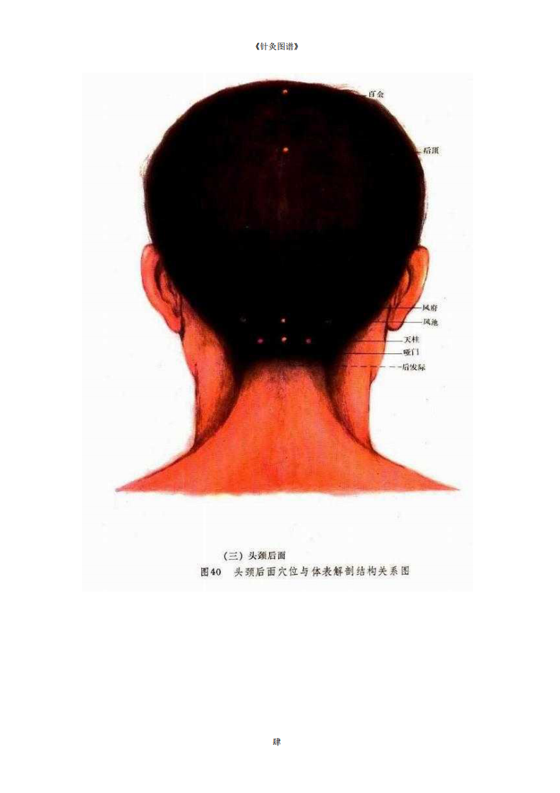 《针灸图谱》迟暮原创首发-清晰PDF彩图.pdf 第5页