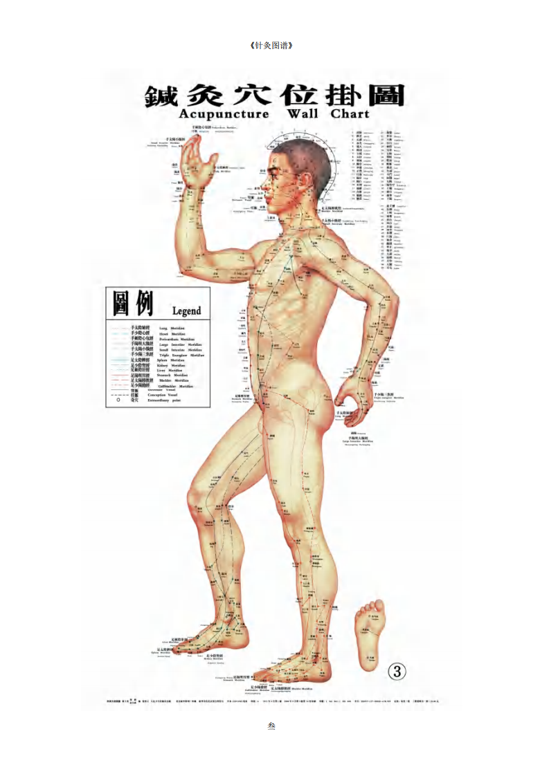 《针灸图谱》迟暮原创首发-清晰PDF彩图.pdf 第4页