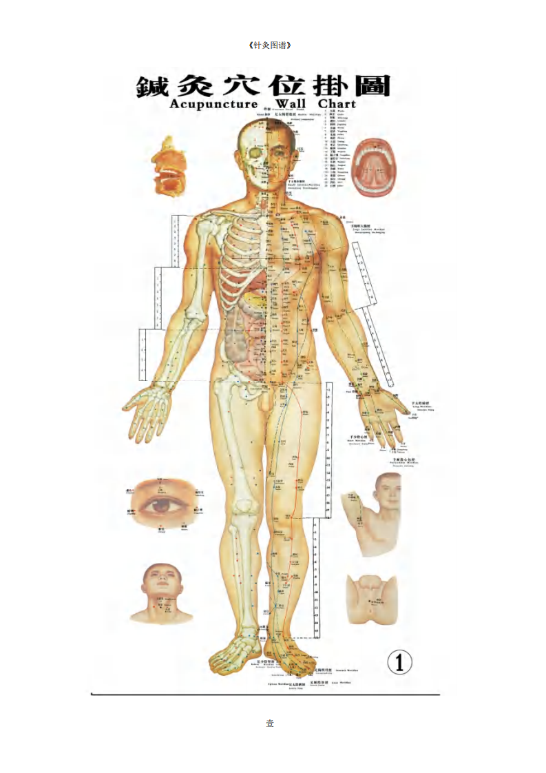 《针灸图谱》迟暮原创首发-清晰PDF彩图.pdf 第2页