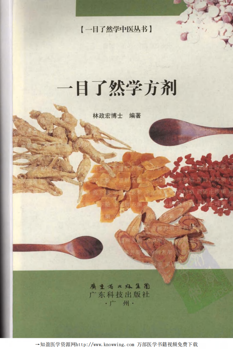 一目了然学方剂.pdf 第3页