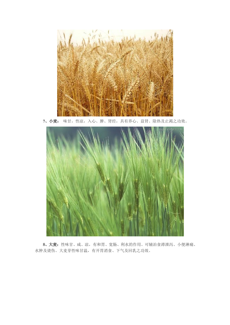 食疗养生：小米安眠糙米解毒 16种杂粮功效大揭秘.doc 第4页