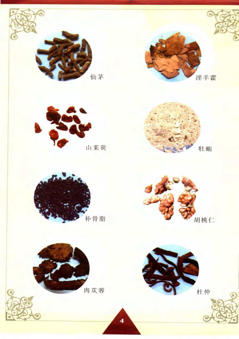 特效中药健身食疗汤料.pdf 第5页