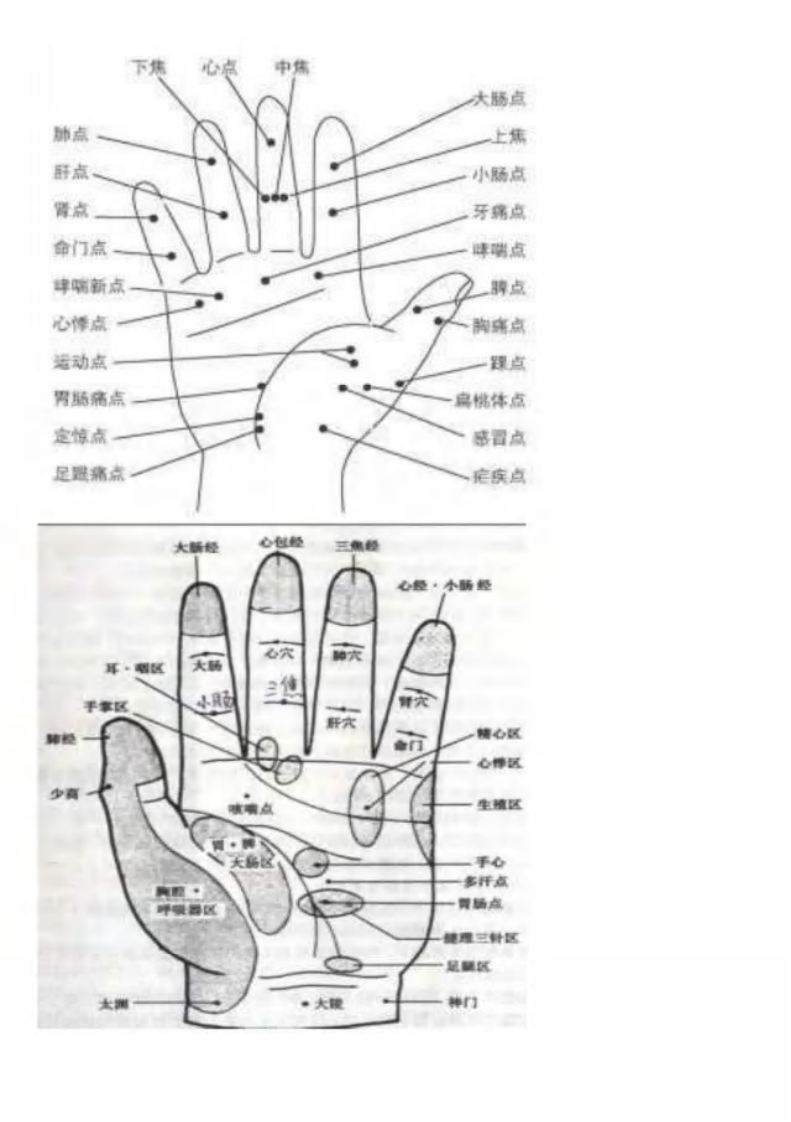 经络穴位图.pdf 第1页