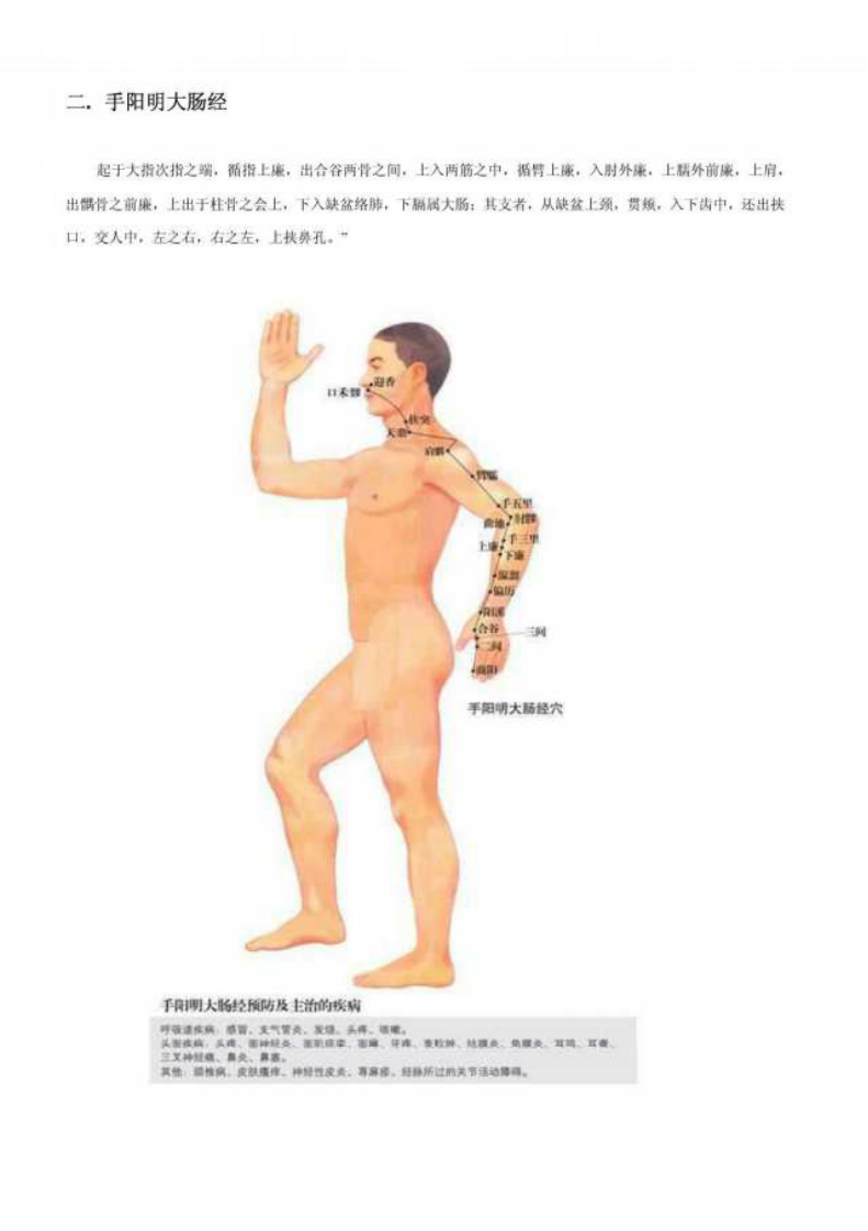 人体十二经络图.pdf 第2页