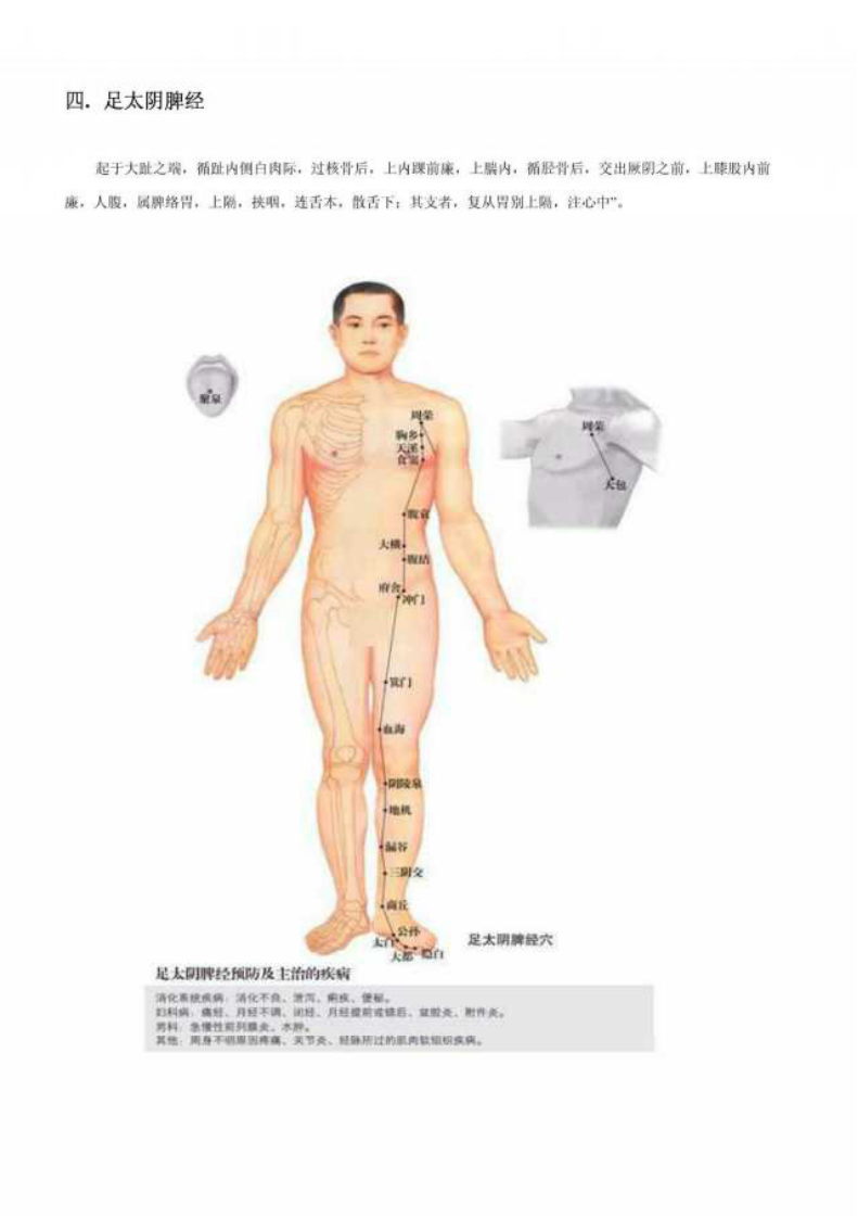人体十二经络图.pdf 第4页