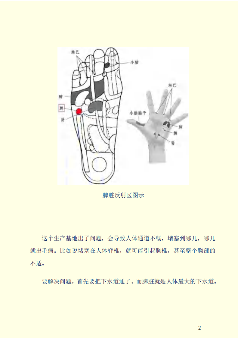 人体手足对应的保健反射区.pdf 第2页