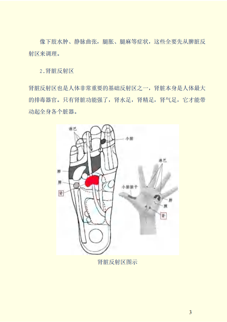 人体手足对应的保健反射区.pdf 第3页