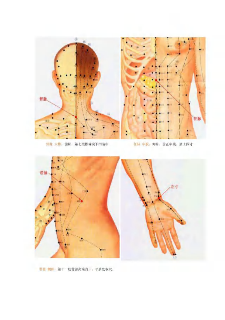 十二经络与养生.pdf 第4页
