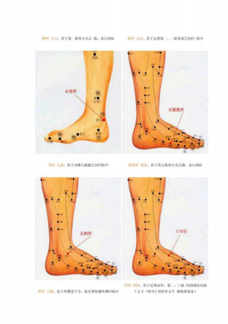十二经络与养生.pdf 第3页