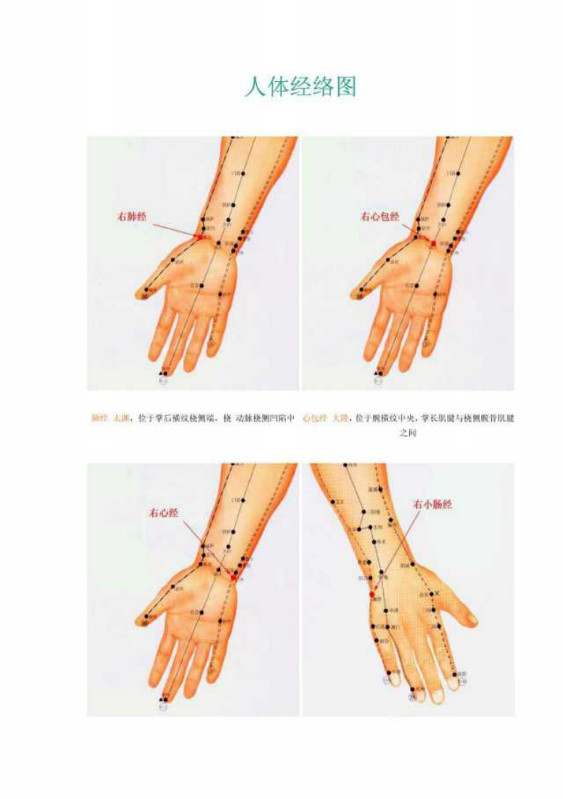 十二经络与养生.pdf 第1页