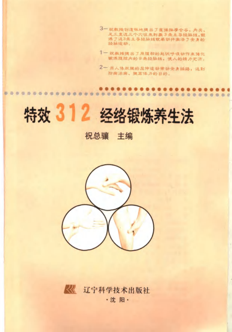 特效312经络锻炼养生法.pdf 第3页