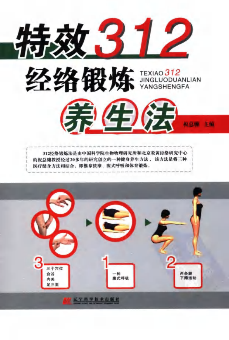 特效312经络锻炼养生法.pdf 第1页