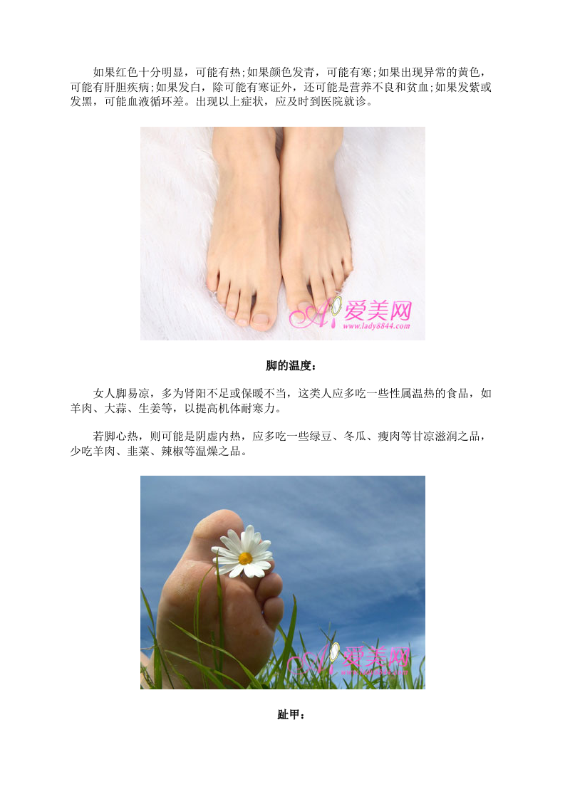 脚底发白或是贫血 通过脚来透析健康状况.doc 第2页