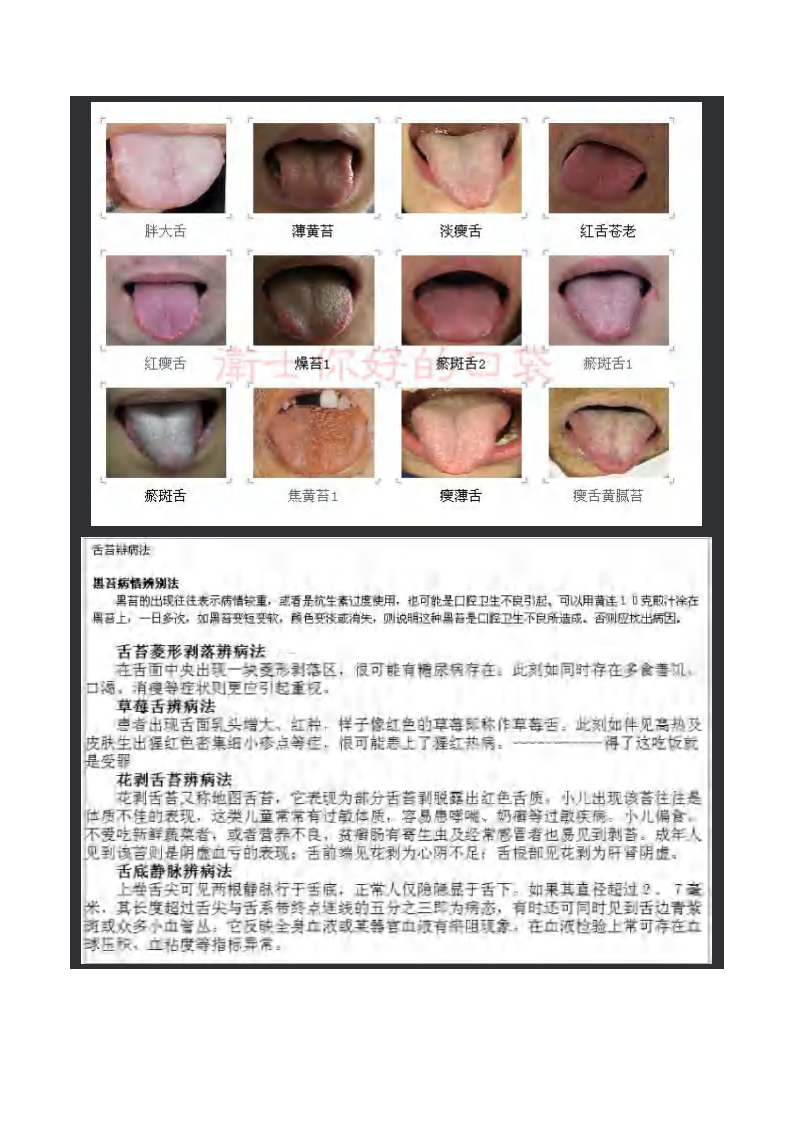 舌诊图谱(精华).pdf 第4页