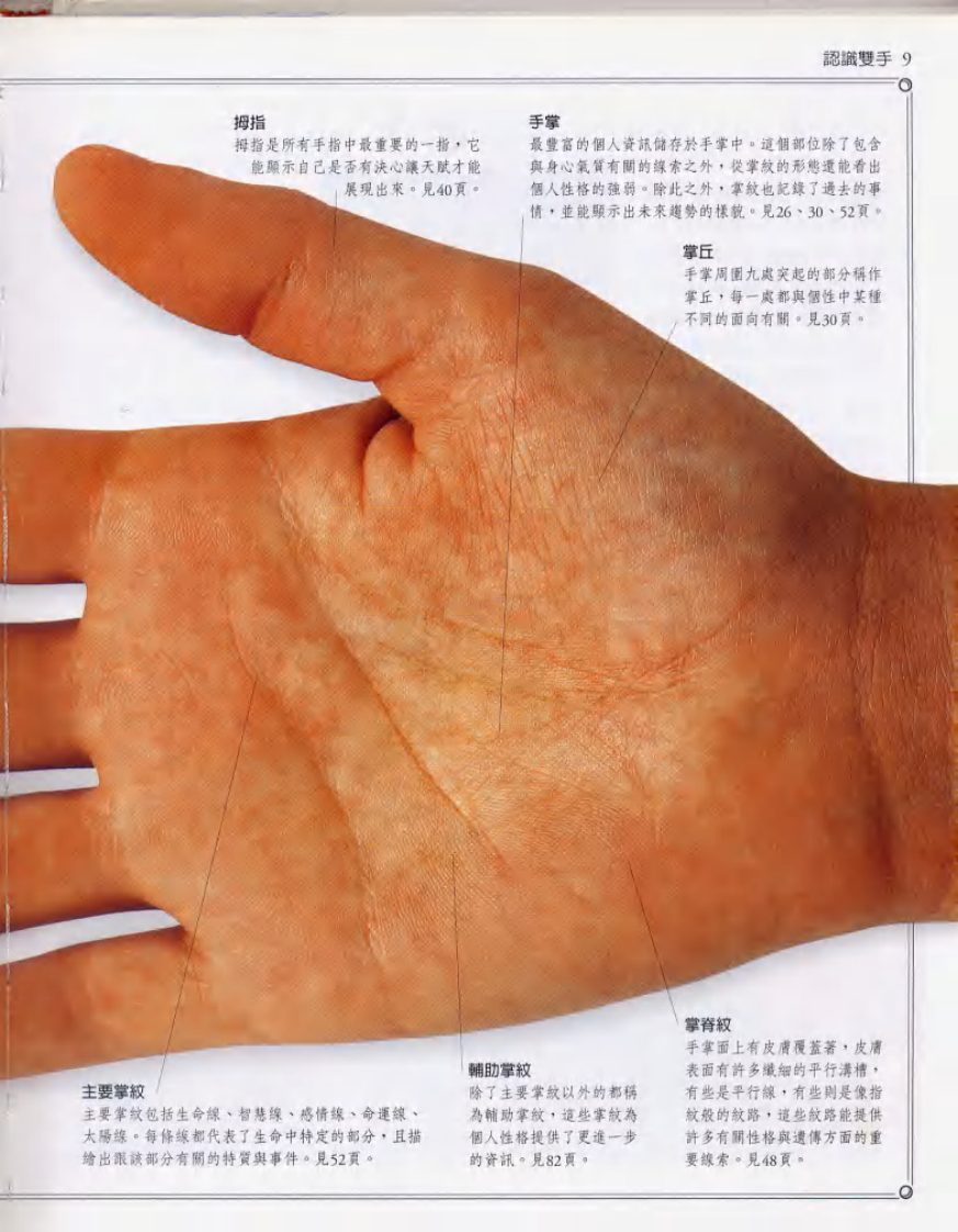 手相(彩色高清版)--国际手相大师瑞德Lori Reid着 章敏译.pdf 第5页