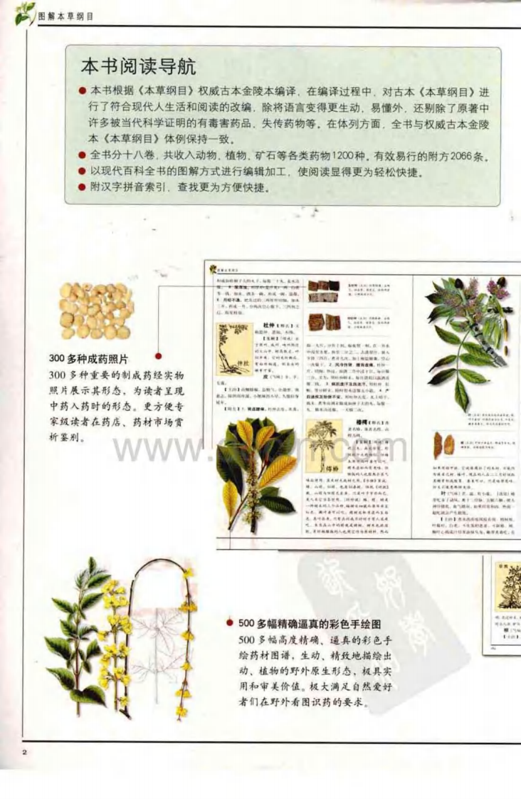 图解本草纲目：认识中国第一药典 (白话全译彩图本).pdf 第5页