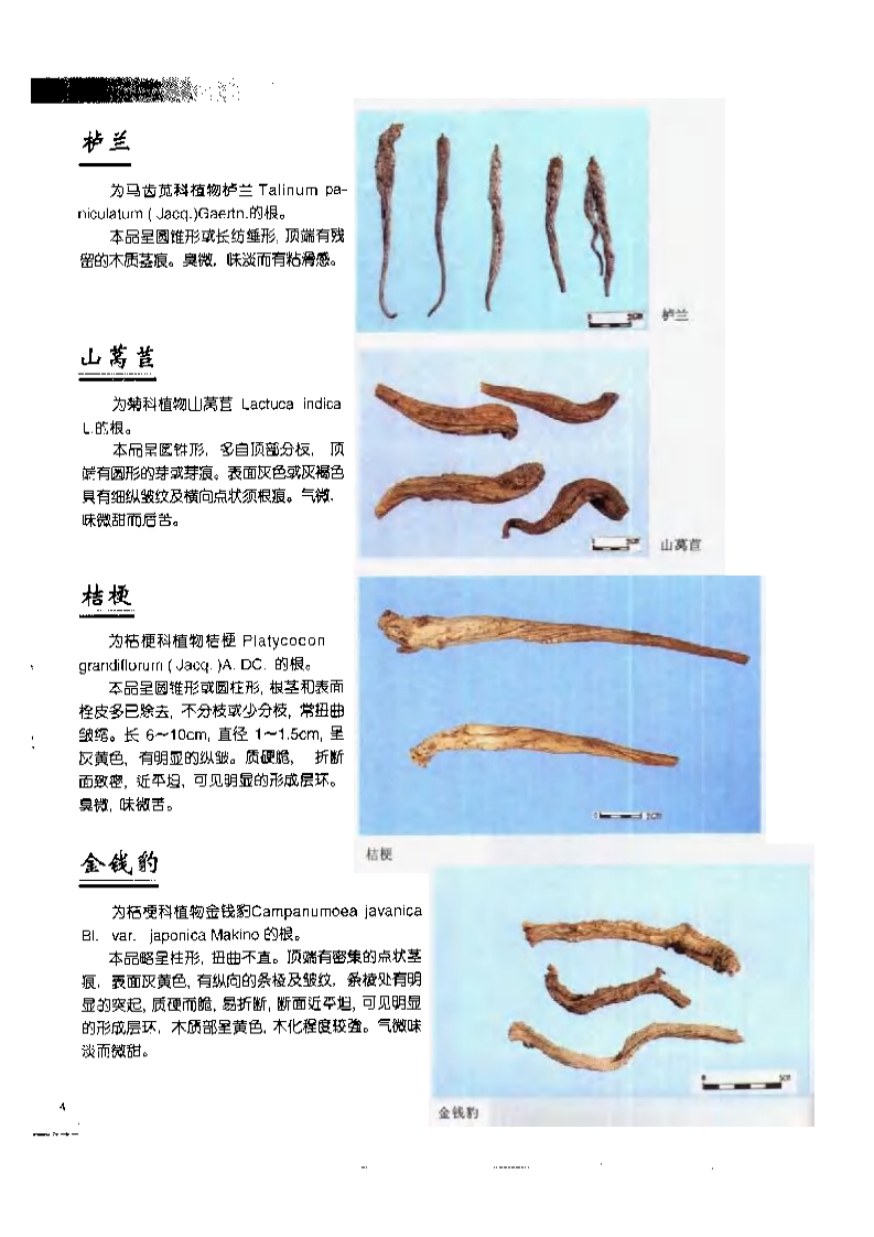 中国中药材真伪鉴别图典：常用贵重药材、进口药材分册(1).pdf 第4页
