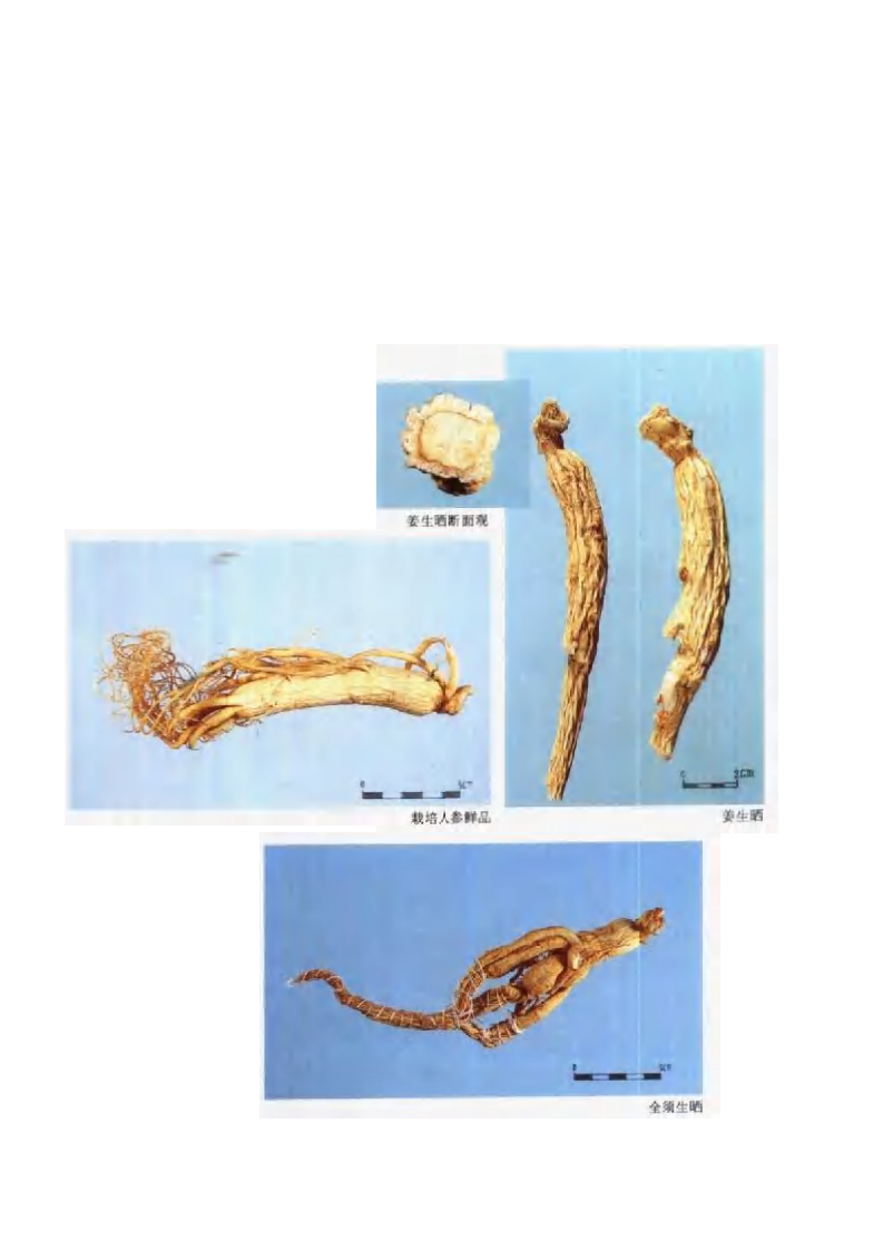 中国中药材真伪鉴别图典：常用贵重药材、进口药材分册(1).pdf 第1页