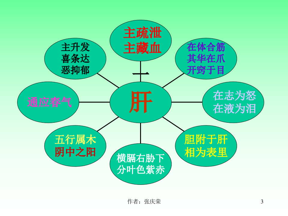 2-2.1_肝.ppt 第3页